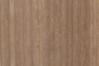 Holzart Eucalyptus globulus für PaX Fenster und Haustüren