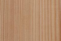 Holzart Lärche für PaX Fenster und Haustüren