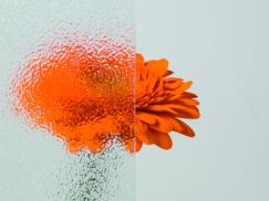 Ornamentglas Arena C