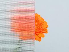 Ornamentglas Masterpoint