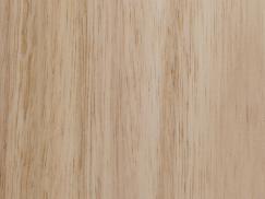 Transparente Lasur PaXnatura innen auf Eucalyptus globulus