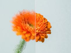 Ornamentglas Chinchilla