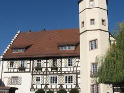 Schloss Niefenburg in Niefern wurde mit Paxretro58 Fenstern ausgestattet 
