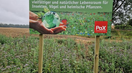 Blumenwiese mit PaX-Schild