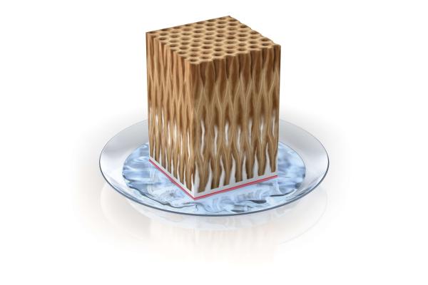 Holz mit Kapillarblocker