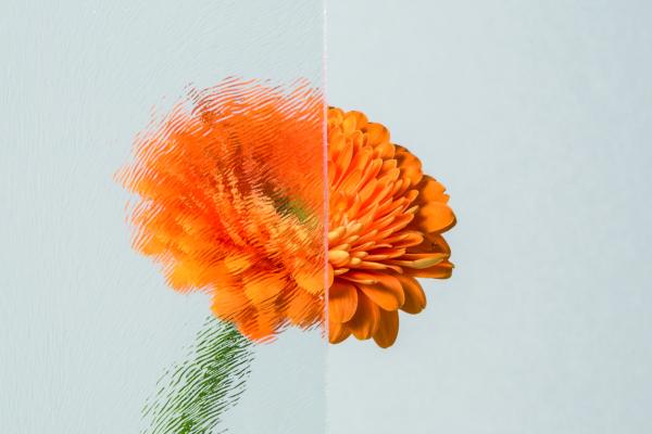 Ornamentglas Chinchilla