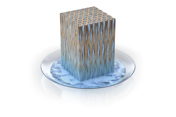 Holz ohne Kapillarblocker