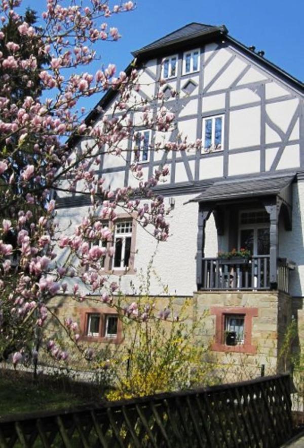 Denkmalfenster PaXretro58 für ehemaliges Rathaus in Kronberg