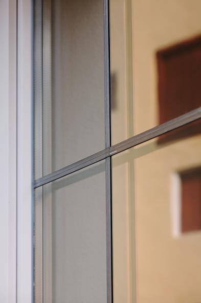 Neue PaXpur58 Fenster im Barockschloss in Altheim Bleisprosse