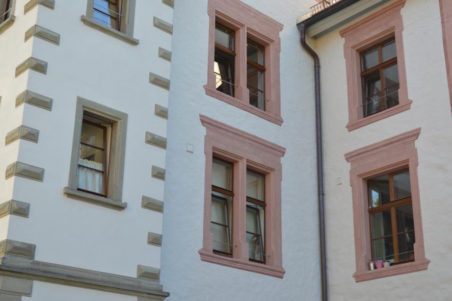 PaXretro58 Eukalyptus-Fenster für alte Bastion in Überlingen Nahaufnahme