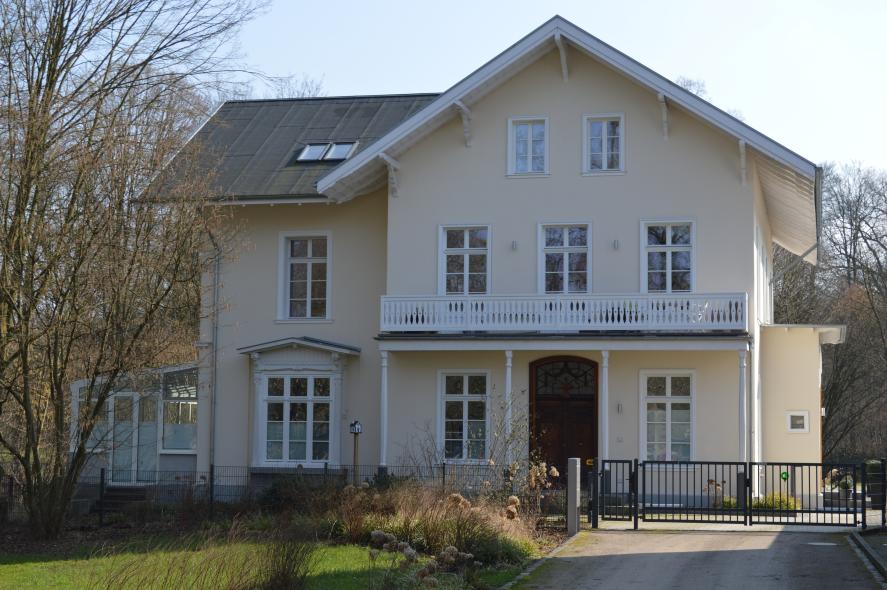 Einbau von PaXcontur68 aus Eukalyptus Globulus in Leverkusen