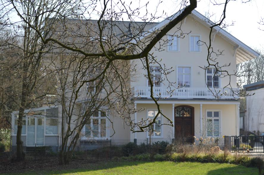 Einbau von PaXcontur68 aus Eukalyptus Globulus in Leverkusen